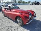 1954 Jaguar Other