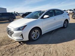 Salvage cars for sale at Amarillo, TX auction: 2020 Hyundai Elantra SEL