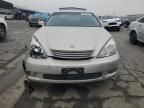 2004 Lexus ES 330