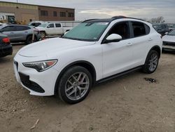 Alfa Romeo Vehiculos salvage en venta: 2018 Alfa Romeo Stelvio TI Sport