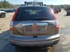 2010 Honda CR-V EXL