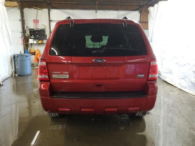 2012 Ford Escape XLT