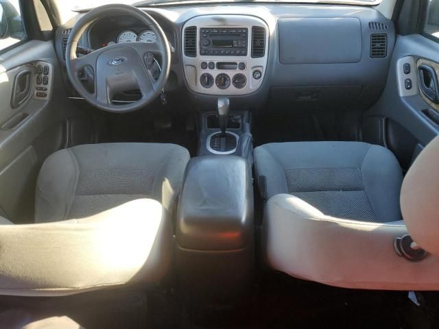 2007 Ford Escape XLT