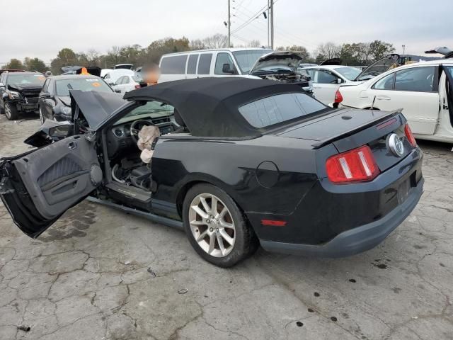 2010 Ford Mustang