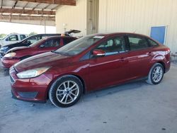 Salvage cars for sale at Homestead, FL auction: 2016 Ford Focus SE