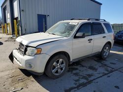 Ford salvage cars for sale: 2011 Ford Escape XLT