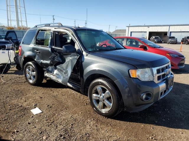 2009 Ford Escape Limited