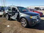 2009 Ford Escape Limited