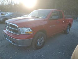 Salvage trucks for sale at Marlboro, NY auction: 2011 Dodge RAM 1500