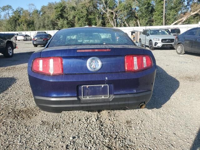 2010 Ford Mustang