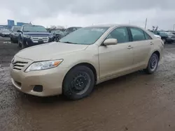 Toyota Vehiculos salvage en venta: 2010 Toyota Camry Base