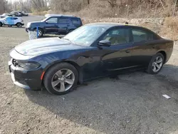 2017 Dodge Charger SXT en venta en Marlboro, NY