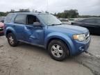 2009 Ford Escape XLT