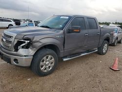 Ford f150 Supercrew salvage cars for sale: 2013 Ford F150 Supercrew