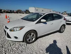 2013 Ford Focus SE en venta en Taylor, TX