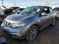 Salvage cars for sale from Copart Elgin, IL: 2014 Nissan Murano Crosscabriolet