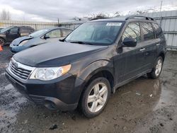 Subaru Vehiculos salvage en venta: 2010 Subaru Forester 2.5X Premium