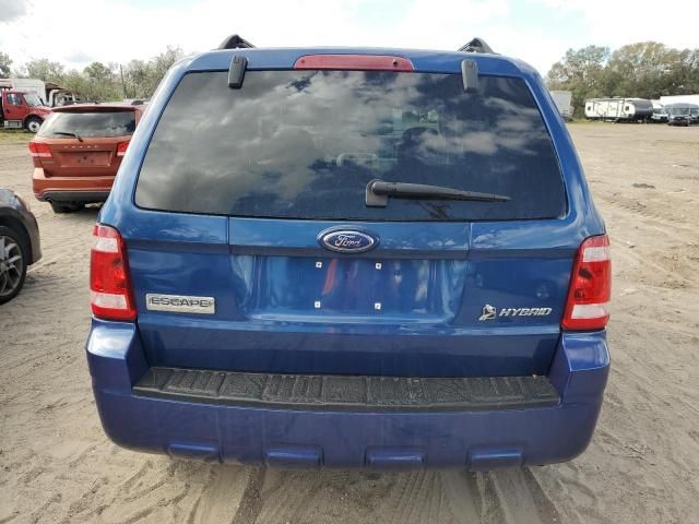 2008 Ford Escape HEV