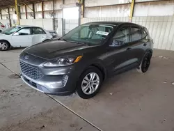 Salvage cars for sale at Phoenix, AZ auction: 2020 Ford Escape S