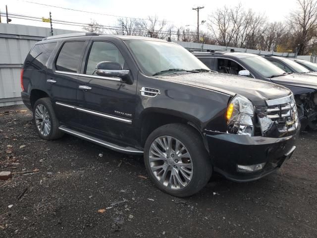 2010 Cadillac Escalade Luxury