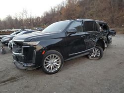 Cadillac salvage cars for sale: 2022 Cadillac Escalade ESV Premium Luxury