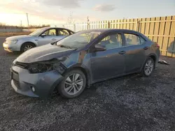 Salvage cars for sale at Ottawa, ON auction: 2014 Toyota Corolla ECO