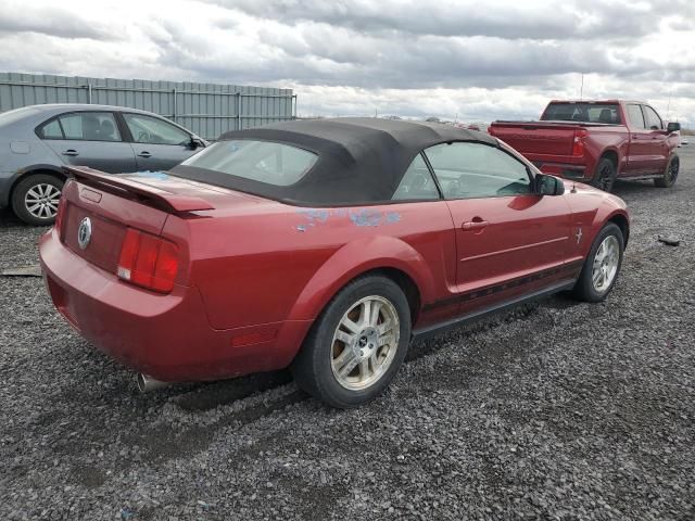 2006 Ford Mustang