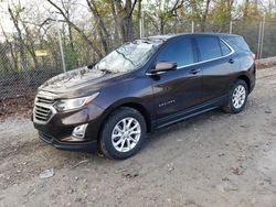 Salvage cars for sale from Copart Cicero, IN: 2020 Chevrolet Equinox LT