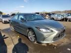 2021 Lexus ES 250 Base