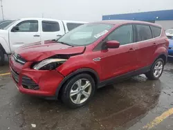 Ford salvage cars for sale: 2013 Ford Escape SE