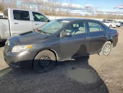 Toyota salvage cars for sale: 2010 Toyota Corolla Base