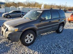 Ford Vehiculos salvage en venta: 2007 Ford Escape XLT