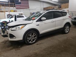 Salvage cars for sale at Ham Lake, MN auction: 2013 Ford Escape SE