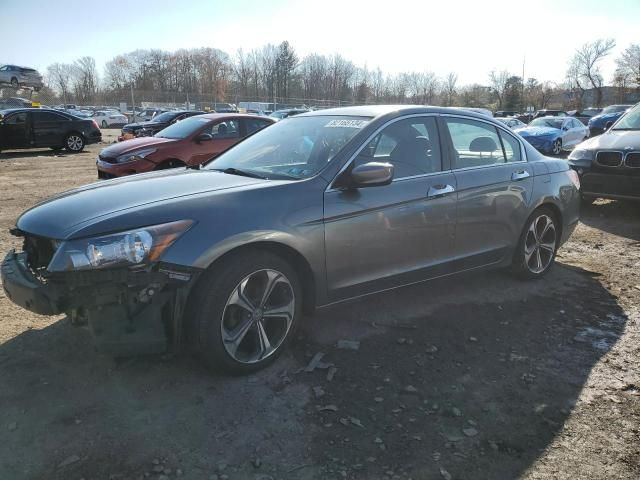 2011 Honda Accord LXP