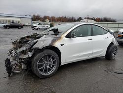 2023 Tesla Model 3 en venta en Pennsburg, PA