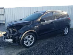 Salvage cars for sale at Riverview, FL auction: 2016 Ford Escape SE