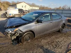 Salvage cars for sale at York Haven, PA auction: 2014 Toyota Corolla ECO