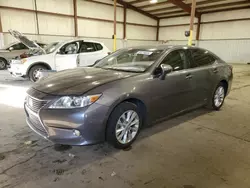 Salvage cars for sale at Pennsburg, PA auction: 2013 Lexus ES 300H