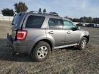 2009 Ford Escape Limited