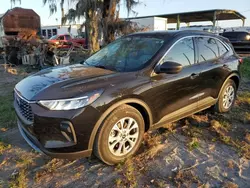 Salvage cars for sale at Riverview, FL auction: 2023 Ford Escape Active