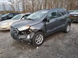 2018 Ford Ecosport SE en venta en Candia, NH