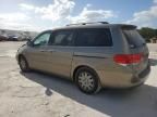 2010 Honda Odyssey EXL