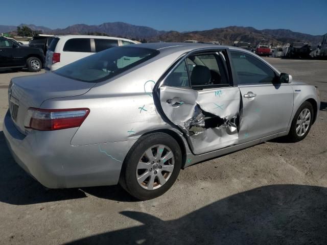 2009 Toyota Camry Hybrid