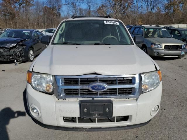 2011 Ford Escape XLT