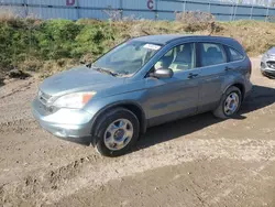 Honda cr-v lx Vehiculos salvage en venta: 2010 Honda CR-V LX