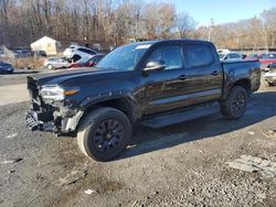 Salvage cars for sale at Baltimore, MD auction: 2023 Toyota Tacoma Double Cab