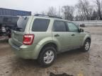 2008 Ford Escape XLT