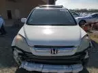 2007 Honda CR-V EXL