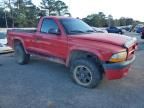 2003 Dodge Dakota SXT