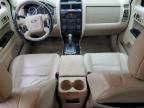 2009 Ford Escape Limited